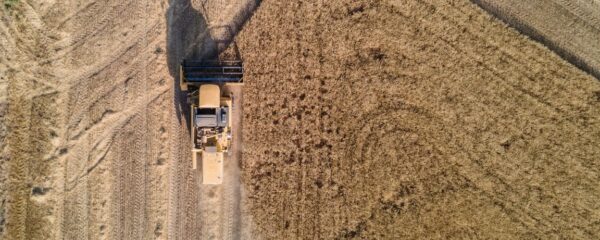 Landwirtschaftskammer NÖ: Beratung