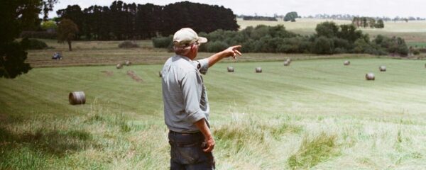Landwirtschaftskammer NÖ: Arbeitsprogramm 2025 - 2030